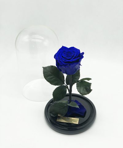 ETERNITY BLUE ROSE 35e D14X22Y (1)