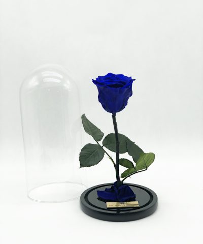 ETERNITY BLUE ROSE (L) 40e D14X25 (3)
