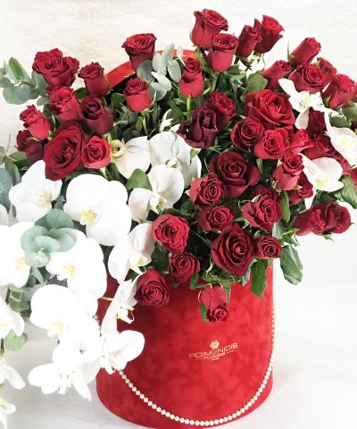FLOWER BOX RED ROSE & ORXIDEA PHALAENOPSIS 250e D70X70Y (4)