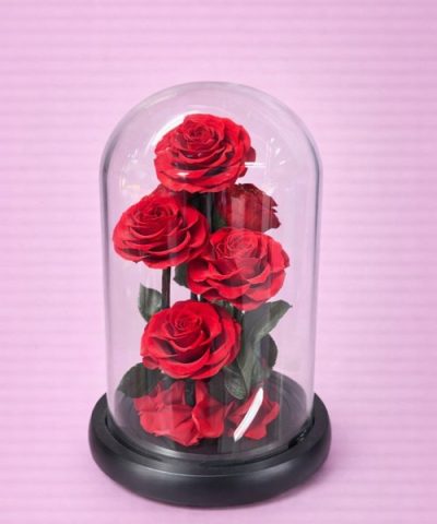 Forever Rose Red "Grande Amour"