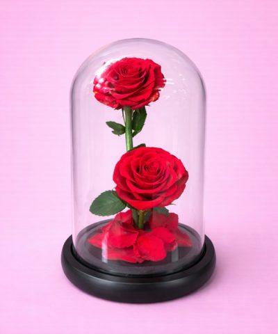 Forever Rose Red “Scarlet Elegance”