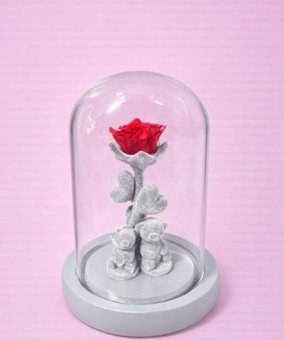 Forever Rose Red Teddy