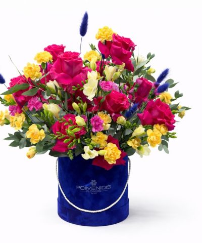 Royal Fuchsia Garden